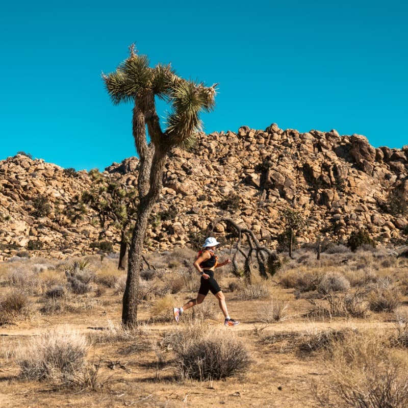 Gear up for Cocodona 250