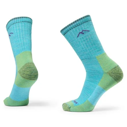 Darn Tough Women's Hiker Micro Crew Cushion Socks by Darn Tough — recommended by Cora Hanson