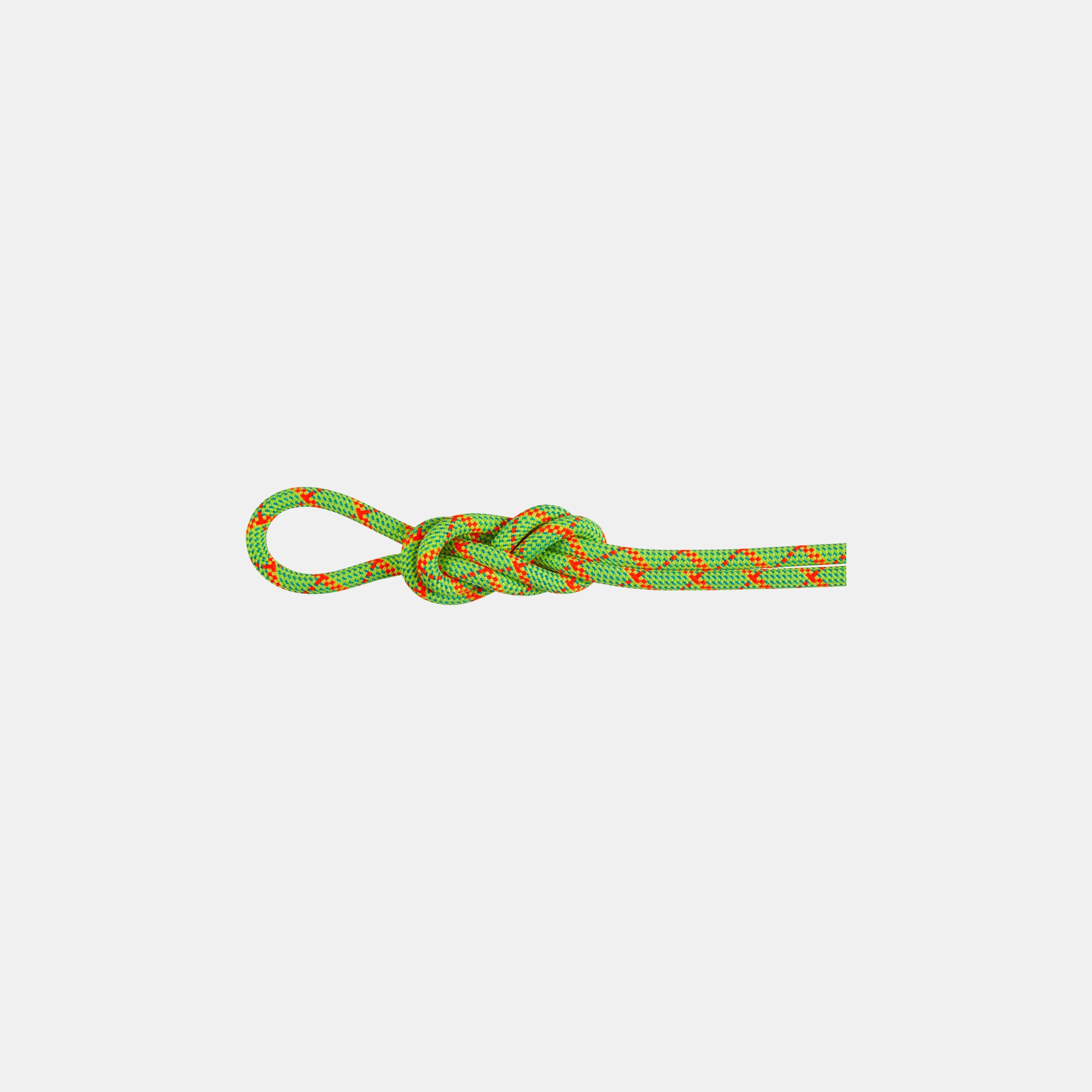 8.0 Alpine Core Protect Dry Rope 60m by Mammut — recommended by Gerrit Egnew